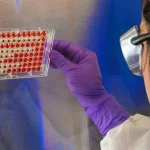 hantavirus prevention tips