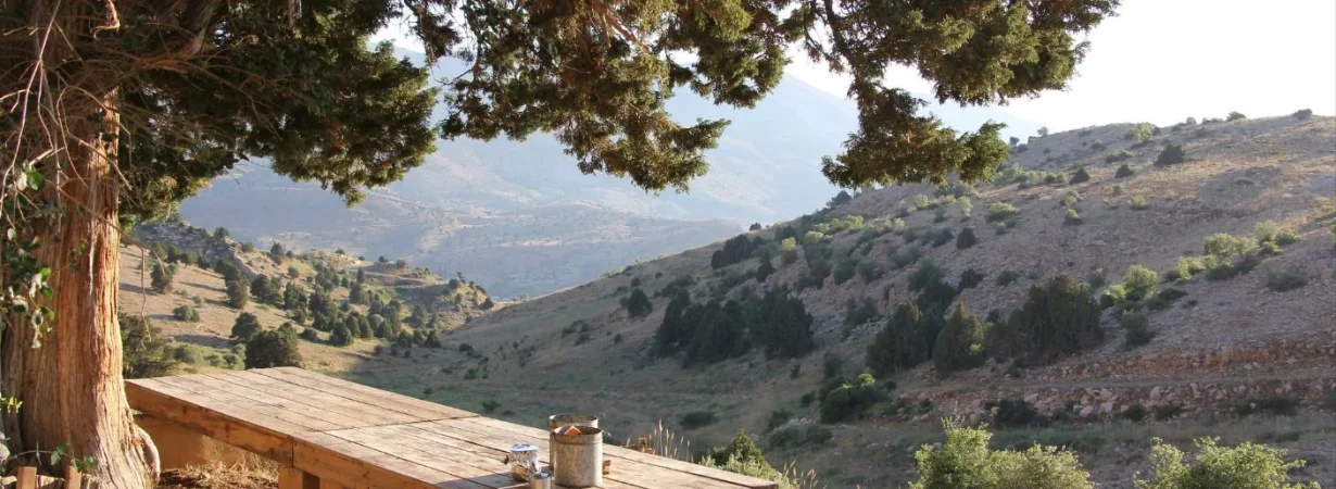 cooler Mount Lebanon towns