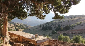 cooler Mount Lebanon towns
