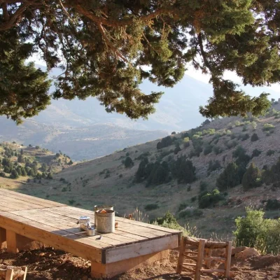 cooler Mount Lebanon towns