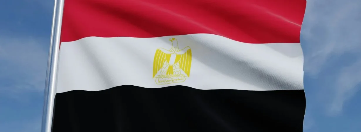 Egypt export subsidy program 2026