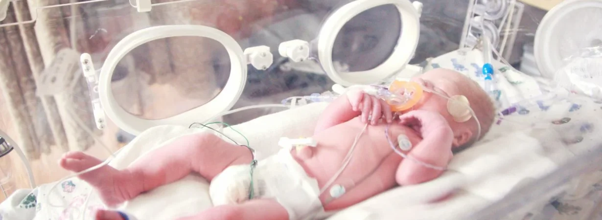 Egypt mandatory newborn care program