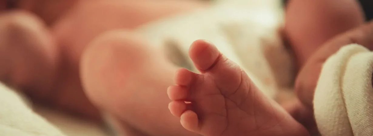 Tunisian Birth Certificate Online