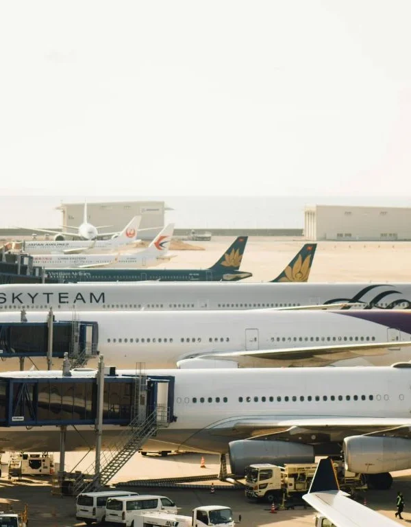 new Zanzibar and Krakow flights