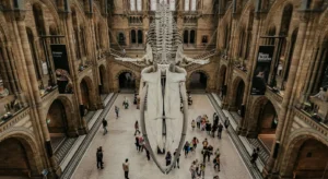Grand Egyptian Museum Guide