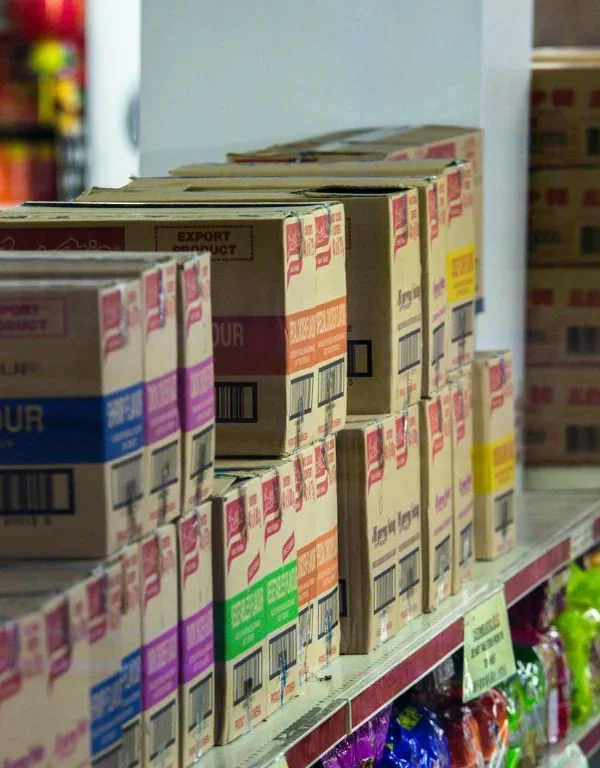 Egypt ration card online