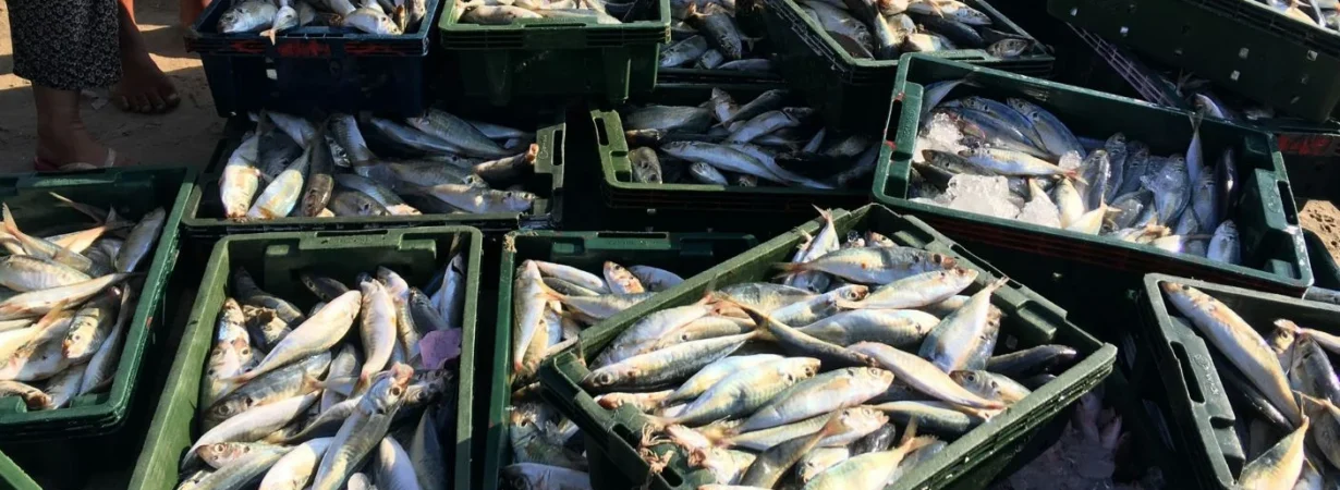 WorldFish Center agreement