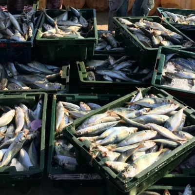 WorldFish Center agreement