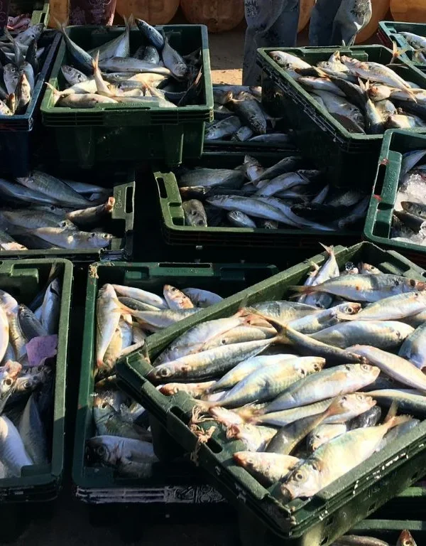 WorldFish Center agreement