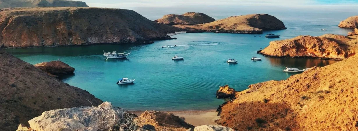 Oman Visa Updates
