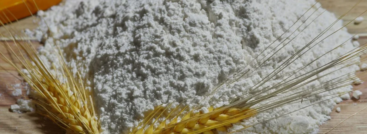 Morocco new subsidized flour rules