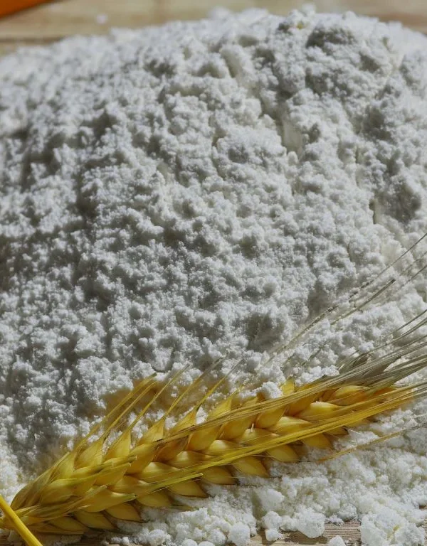 Morocco new subsidized flour rules