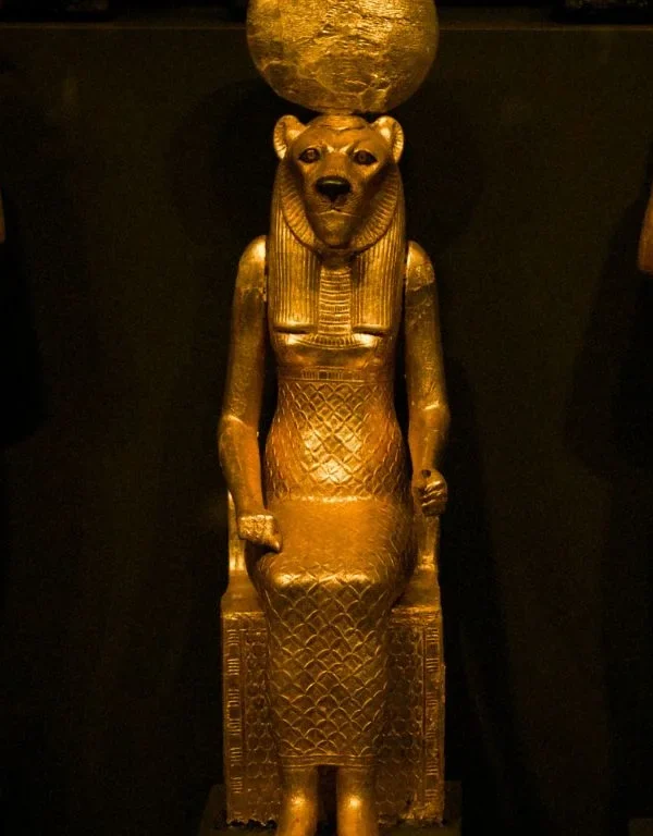 24 Gold Tongues of Leukaspis