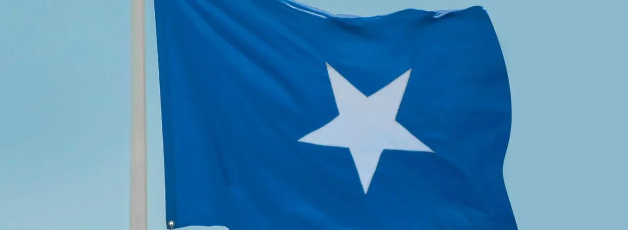 Somalia Foreign Military Assistance