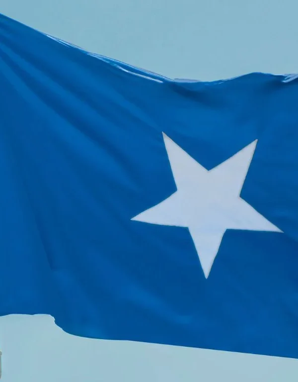 Somalia Foreign Military Assistance