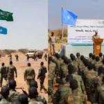 Saudi Somalia defense cooperation