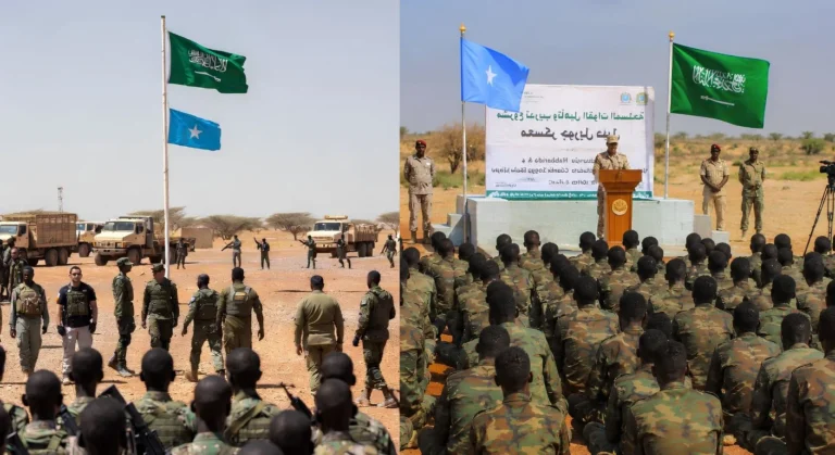 Saudi Somalia defense cooperation
