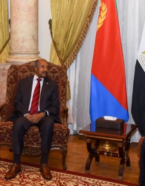 Egypt regional stability efforts