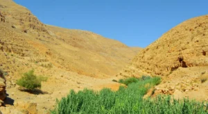 UNESCO endangered heritage list