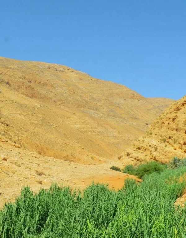 UNESCO endangered heritage list