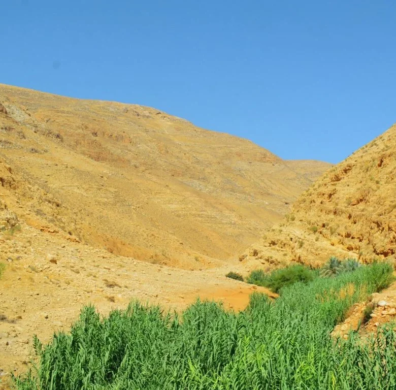 UNESCO endangered heritage list