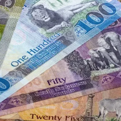 Sudan Small Banknotes Withdrawal
