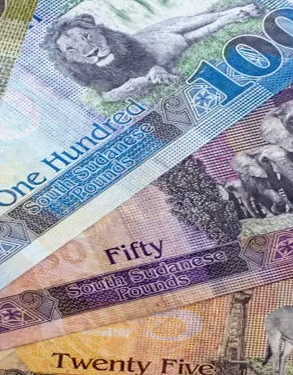 Sudan Small Banknotes Withdrawal