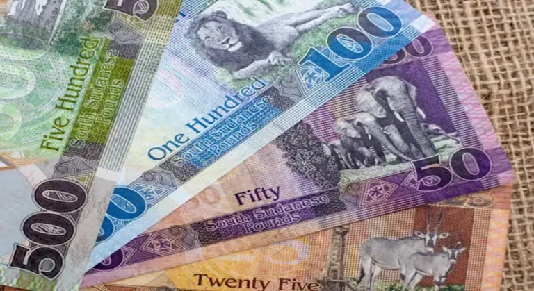 Sudan Small Banknotes Withdrawal