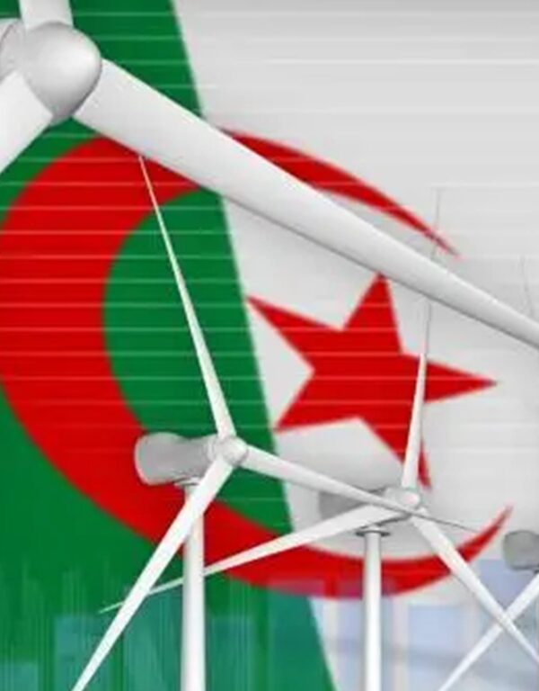 Algeria energy e-services