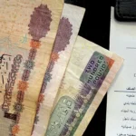 Egyptian pound 82 percent slide