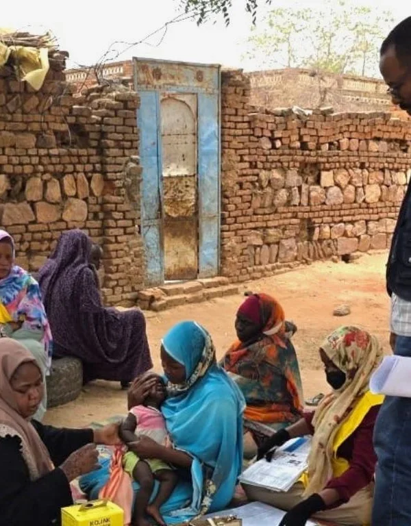 Sudan crisis regional interventions