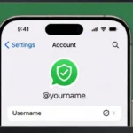 WhatsApp Usernames Algeria