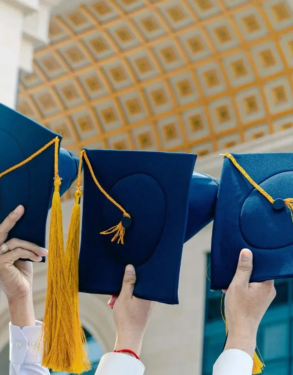 Egypt university transfers
