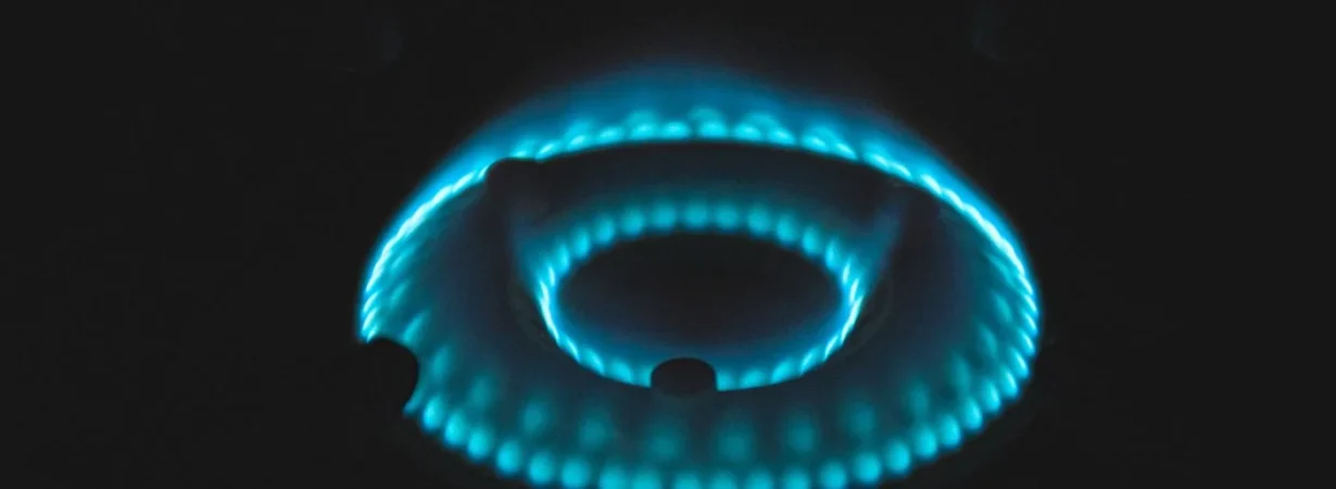 India Algeria LPG deal