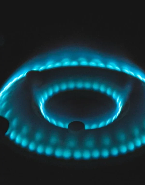 India Algeria LPG deal