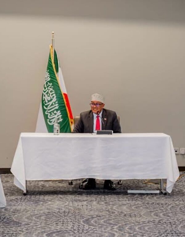 Why Somaliland's Integration of 6,000 Local Forces Demands a New Diplomatic Approach