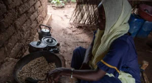 Sudan Displacement Crisis