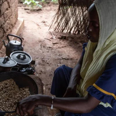 Sudan Displacement Crisis