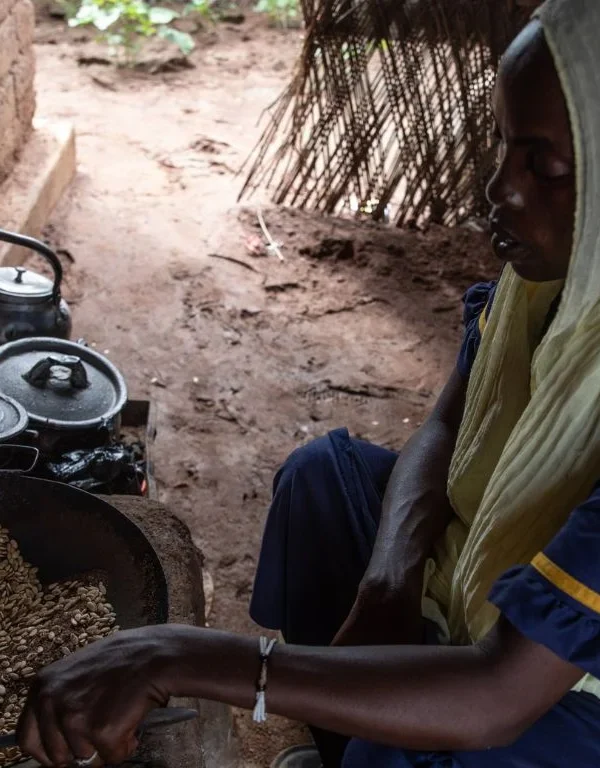 Sudan Displacement Crisis