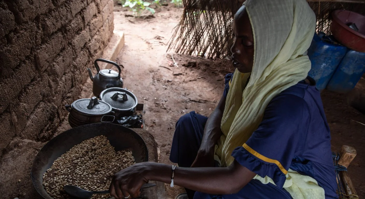 Sudan Displacement Crisis