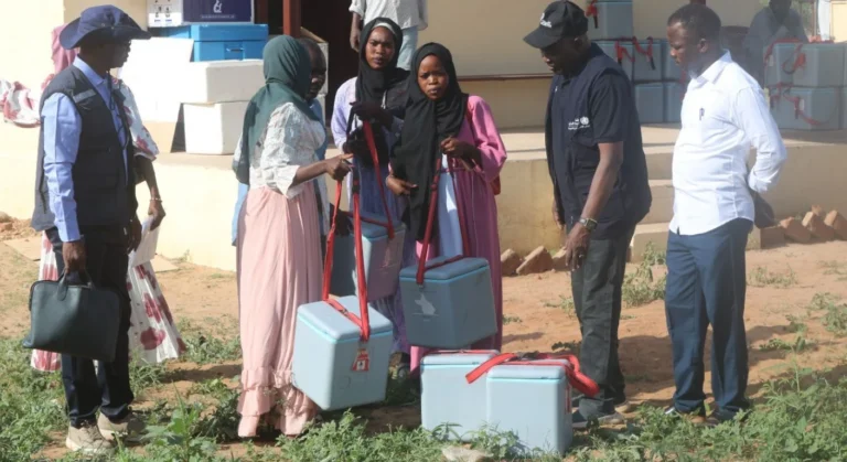 Sudan healthcare crisis