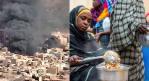 Sudan war humanitarian crisis