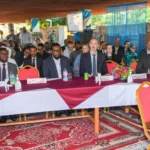 Somalia electoral transition