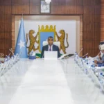 Somalia domestic tax reform