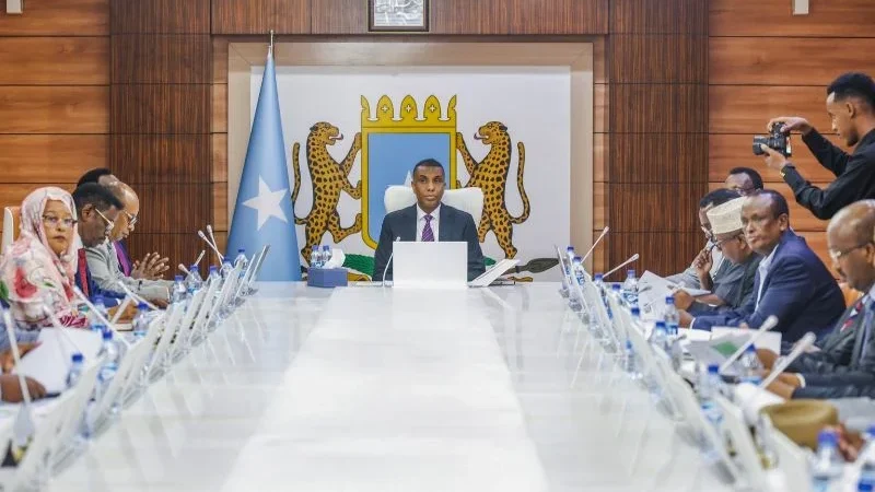 Somalia domestic tax reform