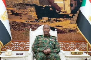 Sudan War regional military ties