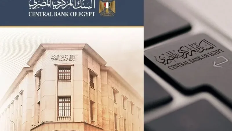 Egypt interest rate hike