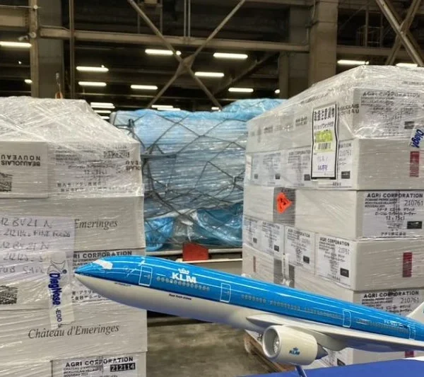 AFKLMP Cargo Cairo winter network