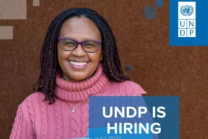 UNDP Jobs for Prosperity Facility