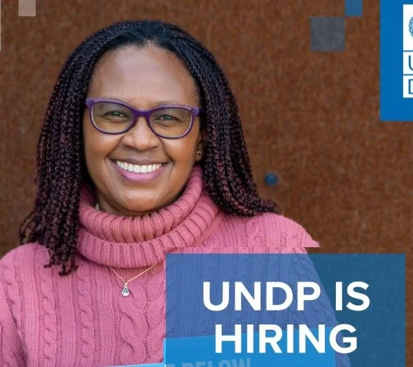 UNDP Jobs for Prosperity Facility